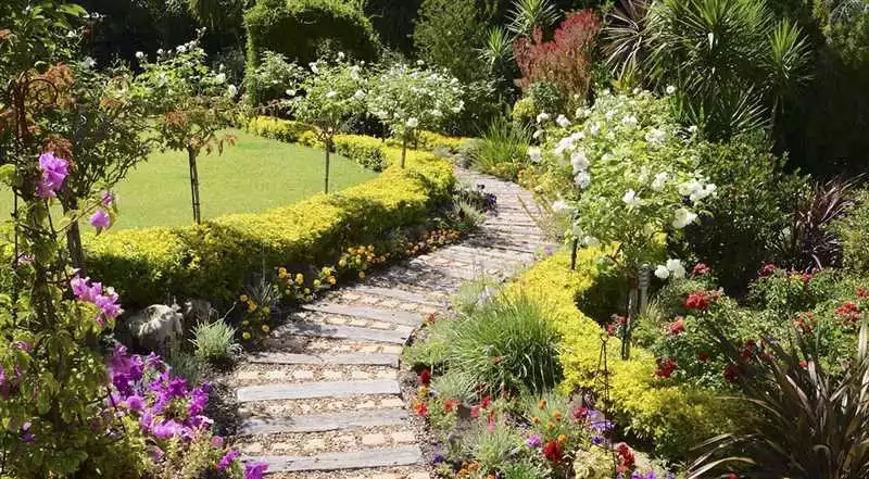 10 советов по выбору растений для создания уникального садового дизайна вашего дома — лучшие идеи и рекомендации
