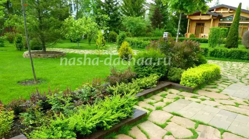 Идеи озеленения вашего дома декоративные растения для любого стиля и дизайна