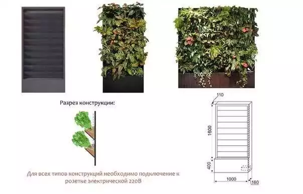 Основные аспекты создания проекта вертикального озеленения