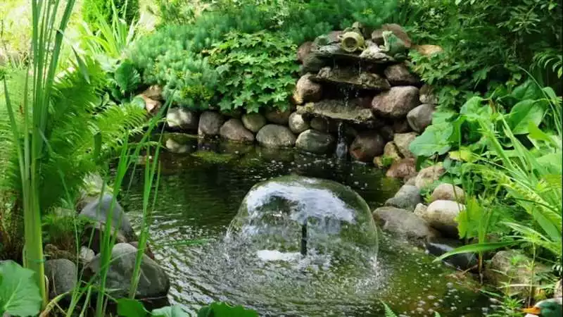 Добавление Красоты И Гармонии В Сад С Помощью Водных Элементов