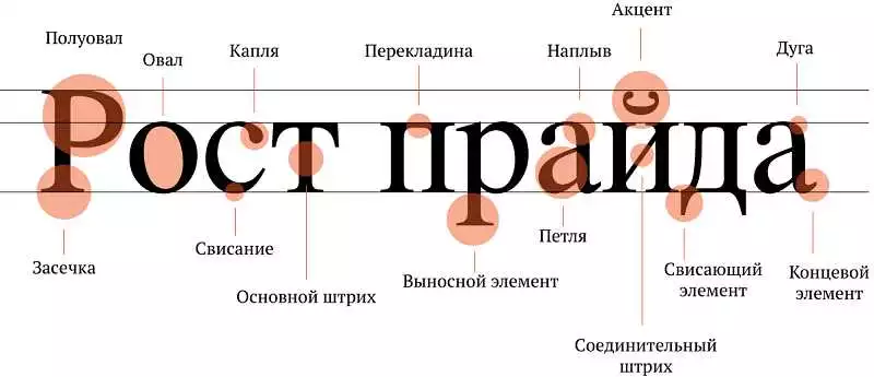 Особенности Визуализации Алфавитов В Типографской Продукции